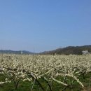 낙원농장4 이미지