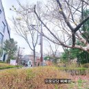 제기동 어린이놀이터 네이버블로그