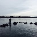 금영수산 이미지