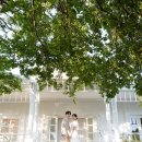 제주하다 이미지