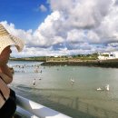 유채향 민박 | 제주2박3일 ㅣ 제주도여름여행 코난비치 게하파티후기 판포포구스노쿨링 맛집추천포함