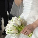 메아모 | 전포 꽃집 추천) 전포 메아모, 전포 꽃다발, 전포 메아모 내돈내산 후기