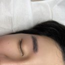 더디자인선 이미지