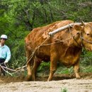 백제인동마을 이미지