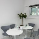 새치 | 🌿 춘천 어니스트헤어 방문 후기 (새치염색 &amp; 비건염색)