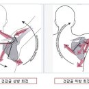 바디앤민필라테스