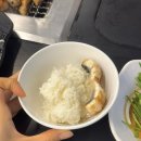 호르미스 | 하루하루 소중하게 🐹