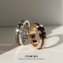 모멘토디자인 이미지