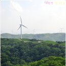 하늘아래목장 네이버블로그