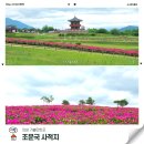 의성 조문국사적지 지금 작약꽃 예쁨 주차꿀팁 포함