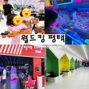 경기관상어(롯데마트 평택점) | 평택 고덕 근처 대형 키즈카페 월드킹