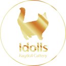 IDOLLS 이미지