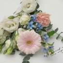 언덕배기꽃식물원 이미지