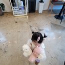 엔조이프로틴 이미지