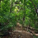 춘천호반(삼악산) 이미지