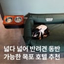뉴에버그린 | 목포 반려견 동반 숙소 뉴에버그린 호텔 후기｜가성비 최고 넓은 객실, 내돈내산 찐 추천