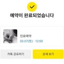 혜민동물병원 | 혜민동물병원 | 슬개골탈구 1차 관리 성공! (2.5기 → 2기)