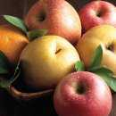 한농상회 이미지