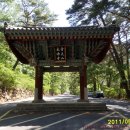 지리산밧데리 이미지