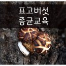 양주지역산림조합임산물종합유통센터