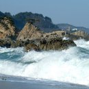 바다가 그리울때 이미지