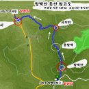 서학로 사거리 이미지