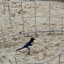 영림공인중개사사무소 이미지