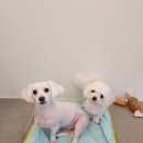 바다미용실 이미지