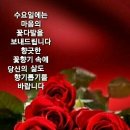 오늘, 꽃데이 이미지
