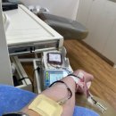 평원떡방앗간 | [주말 일상] 4월 2주차 주말 기록
