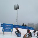 패밀리파크빌리지 이미지