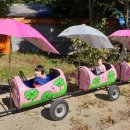 신북어린이집 이미지