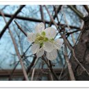 연수동주민센터 이미지