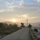 일출전자 이미지