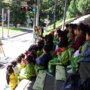 유성초교 이미지