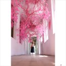 12월27일 송년특별도보 - 당진으로의 여행(출발 확정)-2호차 진행 이미지