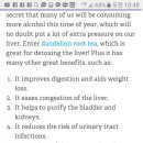 지리산민들레 이미지