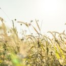 화랑유원지 옆 이미지