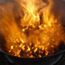 명성농장 이미지