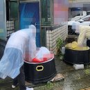 충주금릉초 이미지