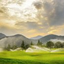 (주)한길 파미힐스 컨트리클럽 이미지