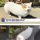 광동농장 이미지