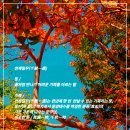 천재일우