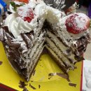 백조카써비스 이미지