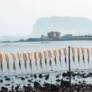 성산포사랑 이미지