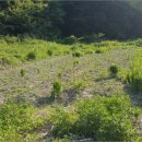 이반성면-1 이미지