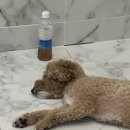 송지펜션 이미지