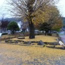 수동초등학교 이미지