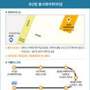 단비여행사 네이버블로그