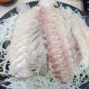 청해활어회센타